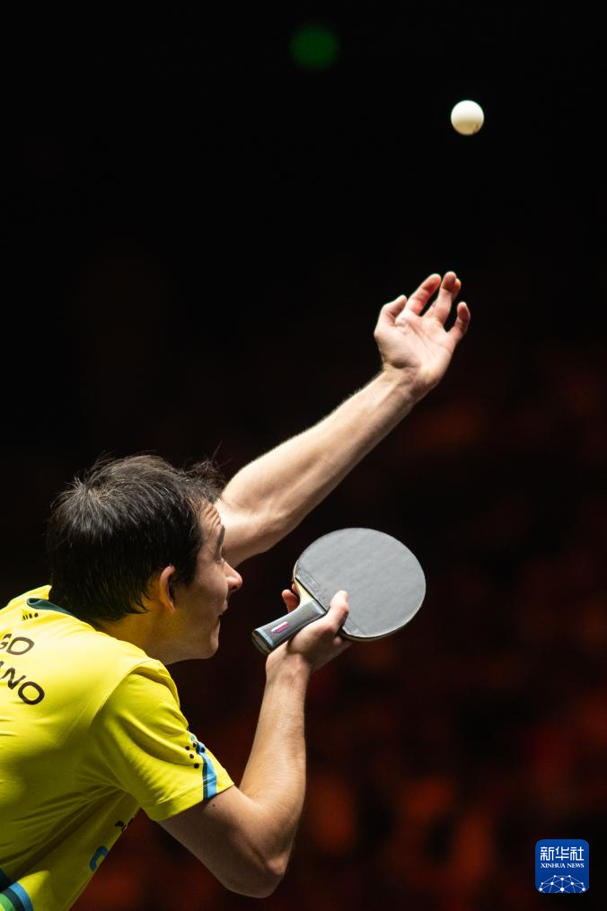 女性选手的 女性选手的