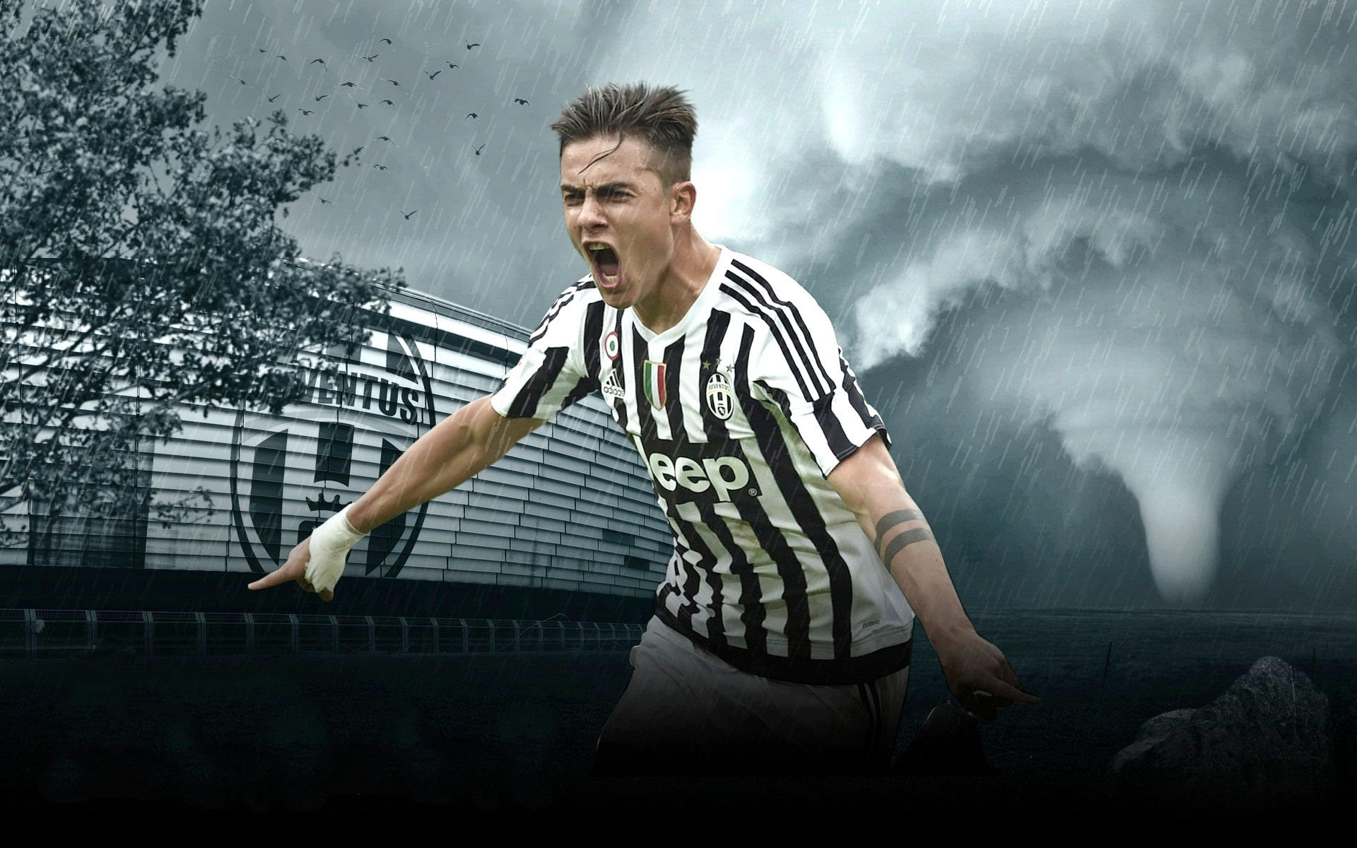 用用户价值 用用户价值